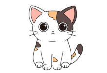 【儿童睡前故事】害怕老鼠的小猫咪-信聚合